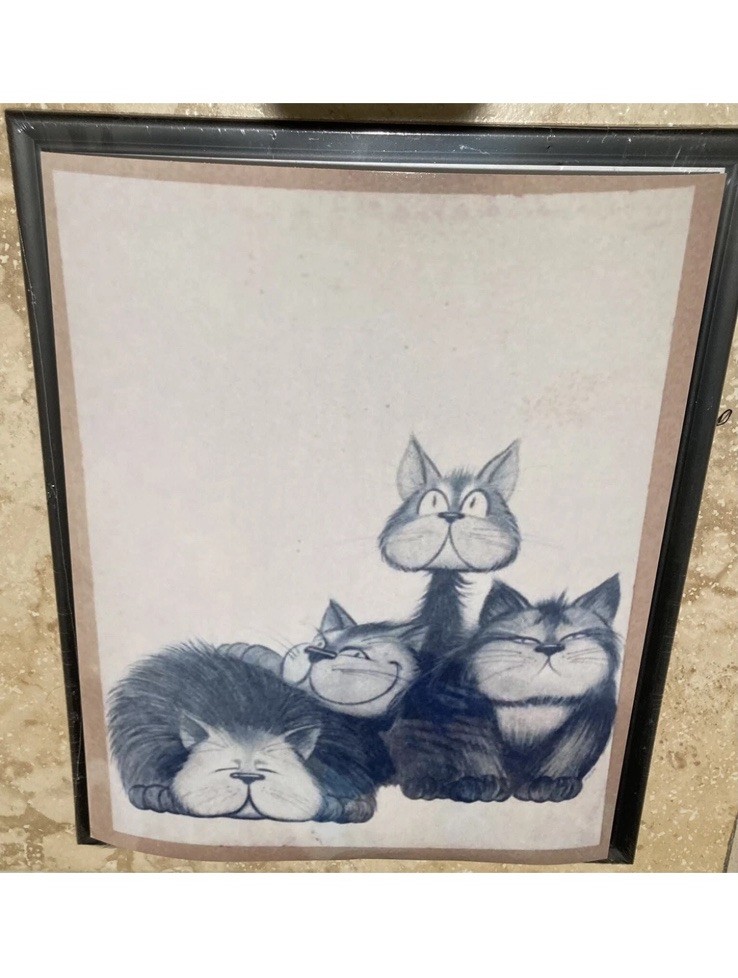 Hilarious cat photo art 8” x 10”