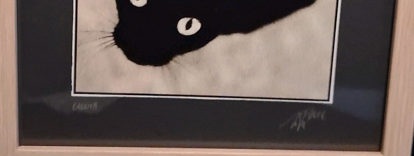 Black Cat. Stunning “Dragon Cat” by famous photographer, Ron Jaffe
