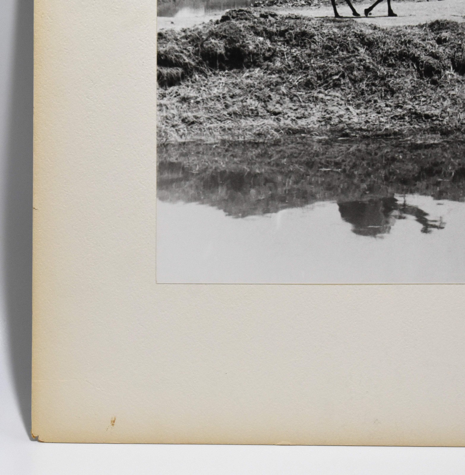 J.W. Howlett Black + white Photograph focusing on a Group of Travelers W/ Camel