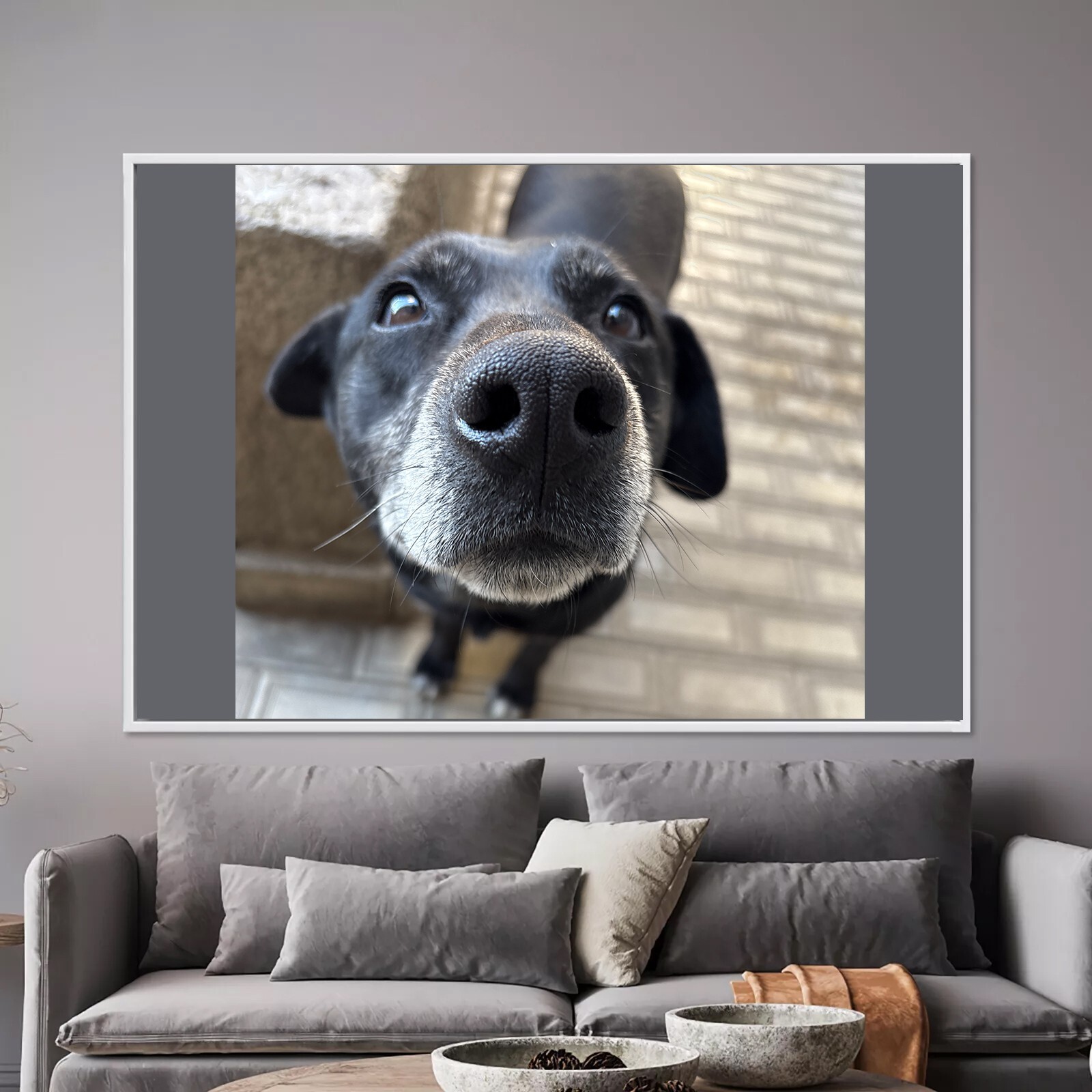 Dog Digital Image Picture Photo Wallpaper Background Desktop Art