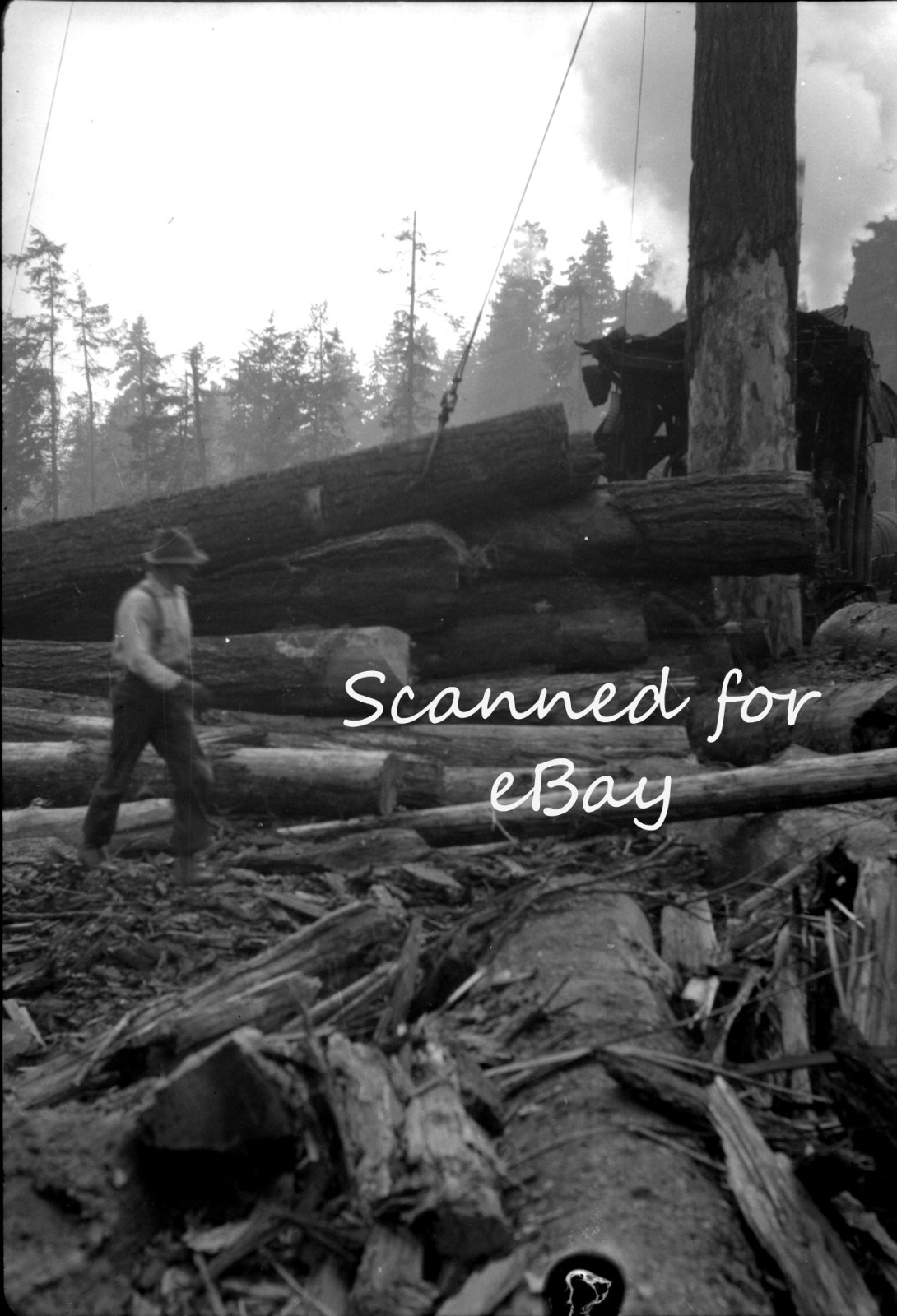 BRITISH COLUMBIA LOGGING CEMENT 1928 100 ORIG NEGATIVES IN ALBUM CANADA PEOPLE