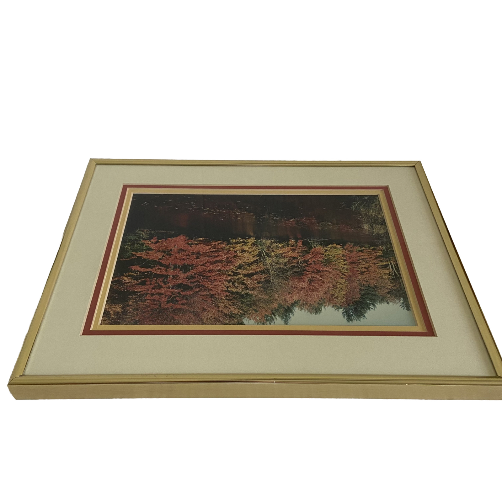 Art Photography Photo Autumn Picture Lake Matted Framed Fall Leaves