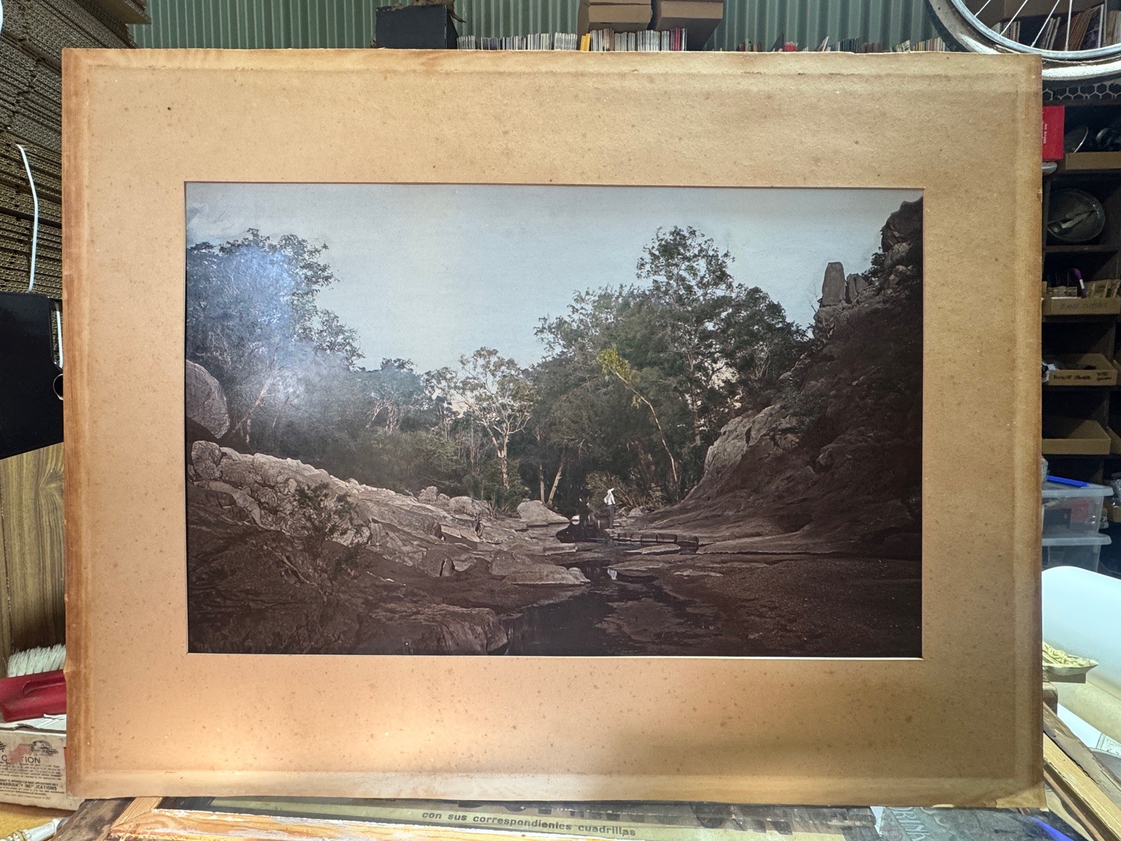 c.1900 Hand-Tinted Albumen Photograph Indigenous Landscape in Burr-Walnut Frame