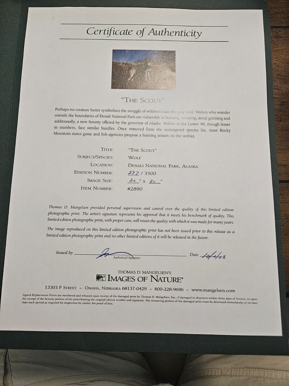 Thomas Mangelsen “The Scout” #2890 L/E Print 277/3500