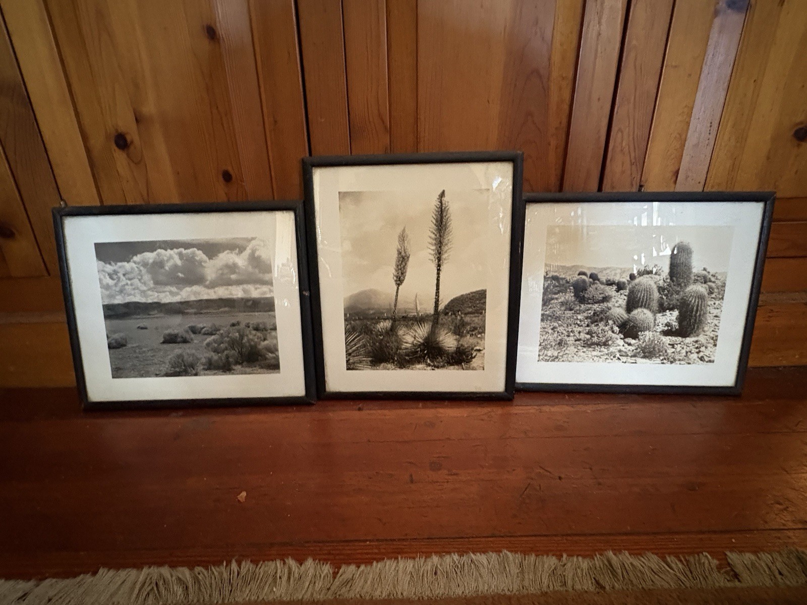 Mid Century Modern Southwestern Art Photographs Desert Cactus Mountains Sky