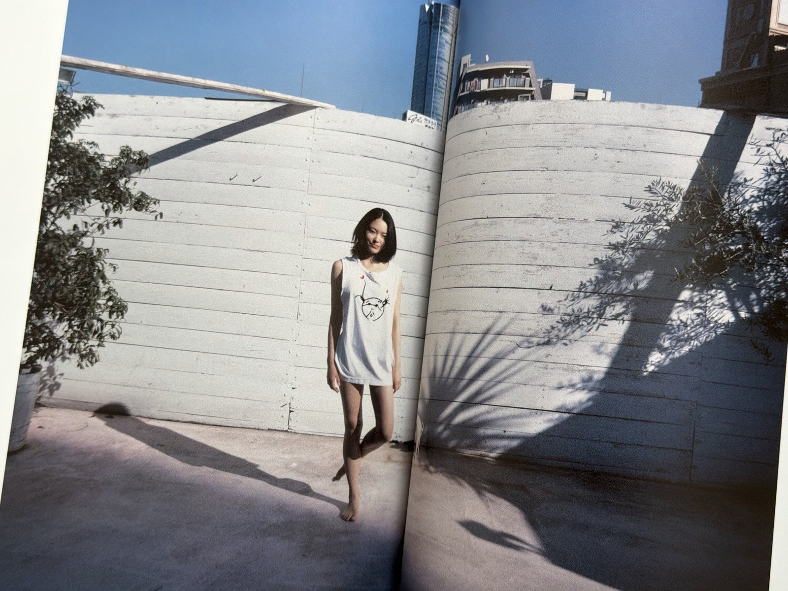 🎈SupRARE! Araki Nobuyoshi – Kaori Diary, Photo Graphica 2008, Magazine, Japan