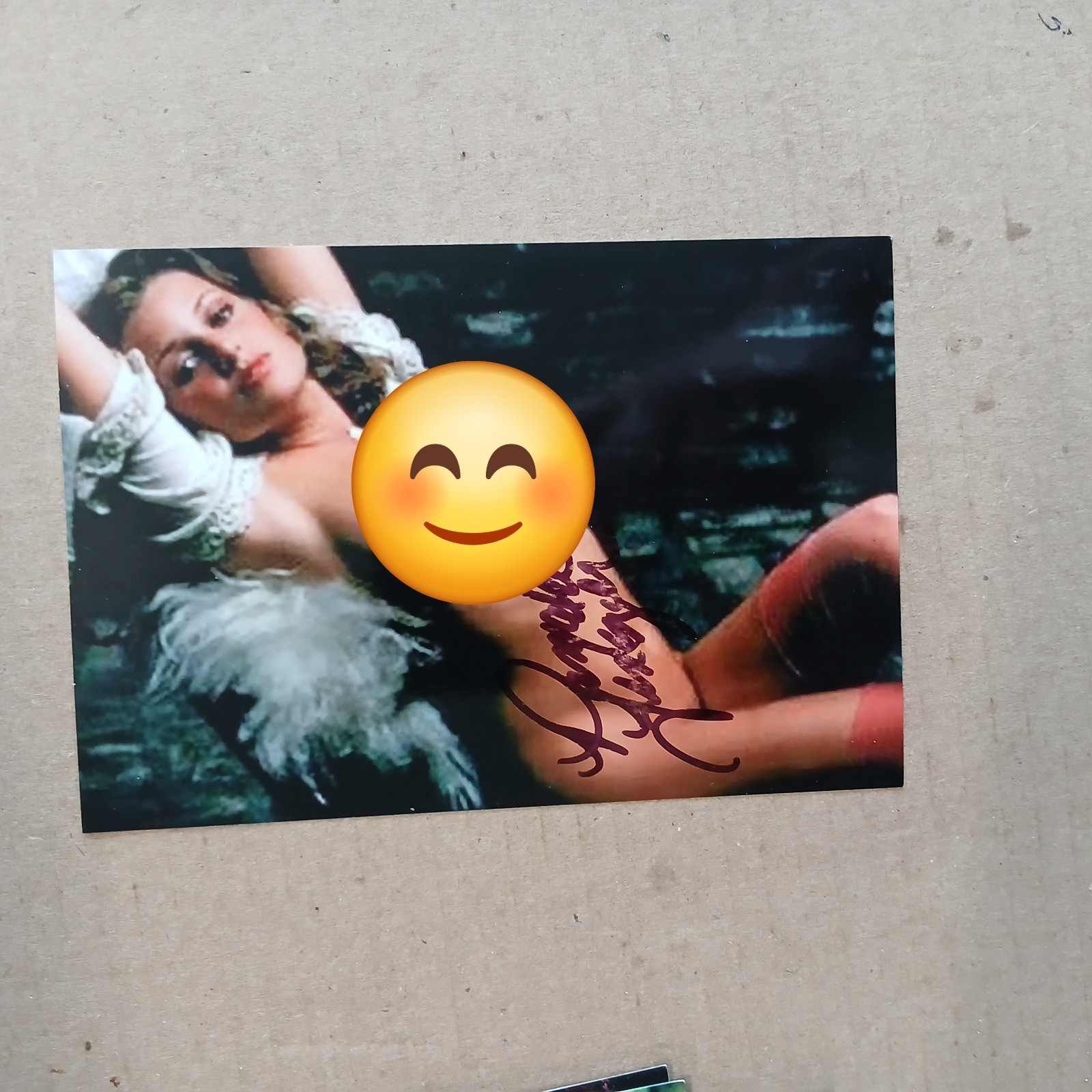 Playmate Pamela Zinsler Autographed 4×6 Photo Playboy