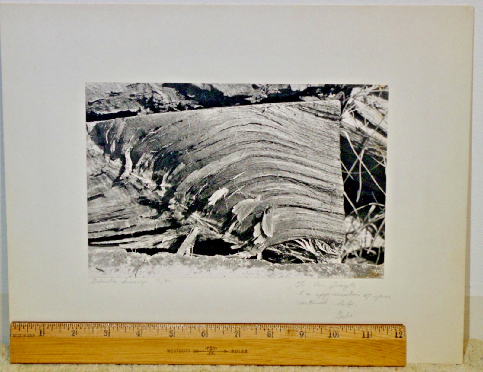 Lot of 3 B&W Photos- Unframed Matted- Forest Water Ice Wood Trees – c1970