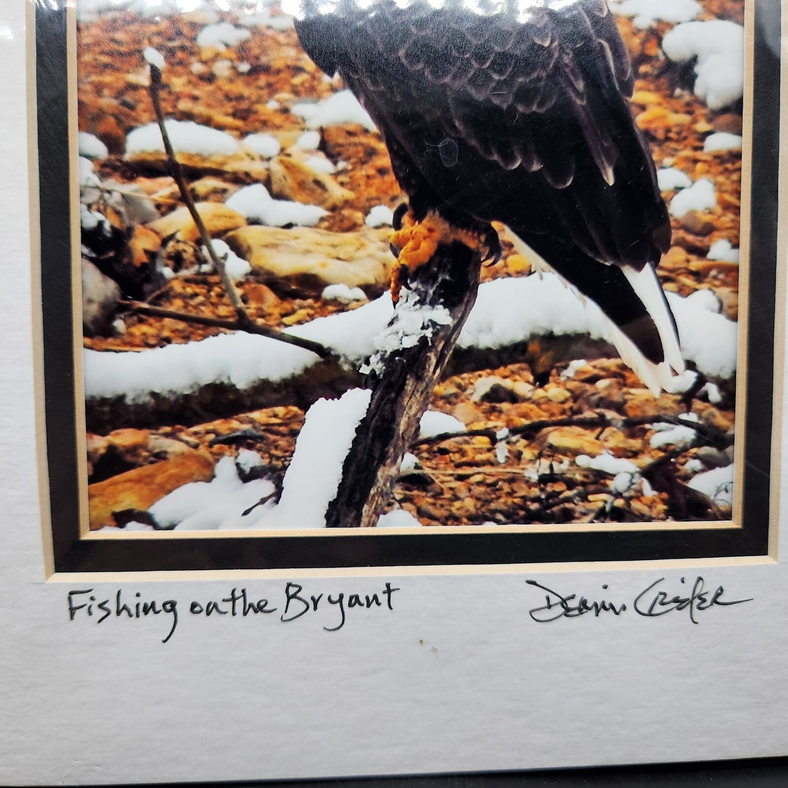 Bald Eagle Print Photo With Double Matte Signed Dennis Crider