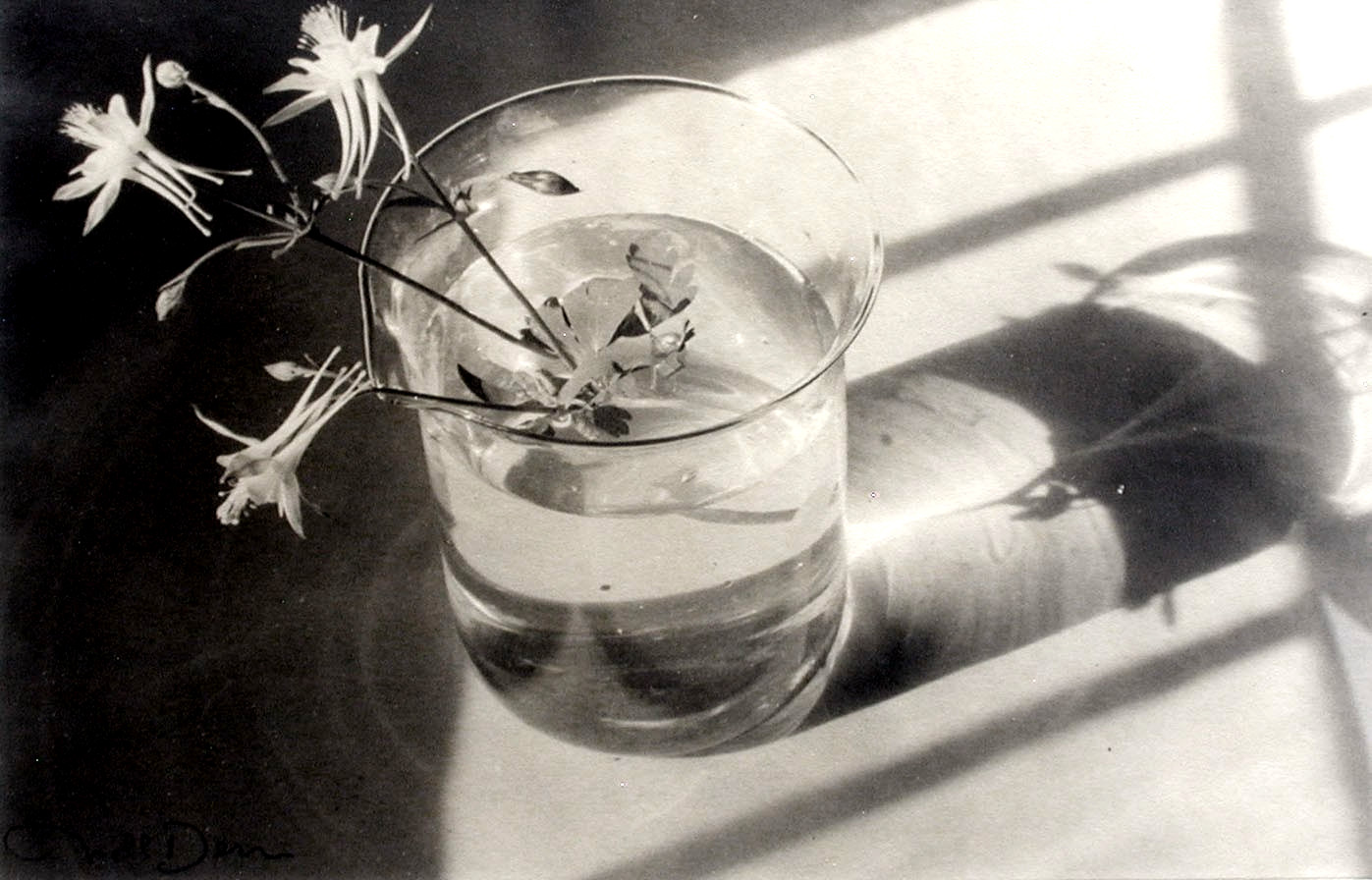 STILL LIFE SALE Connecticut Photo NELL DORR ‘Glass Arrangement’ 4.5″ x 6.5″