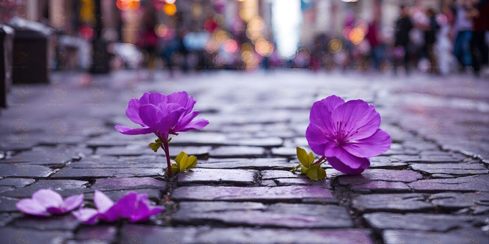 Digital Image Picture Photo Wallpaper Background Flower On Crack Street #26
