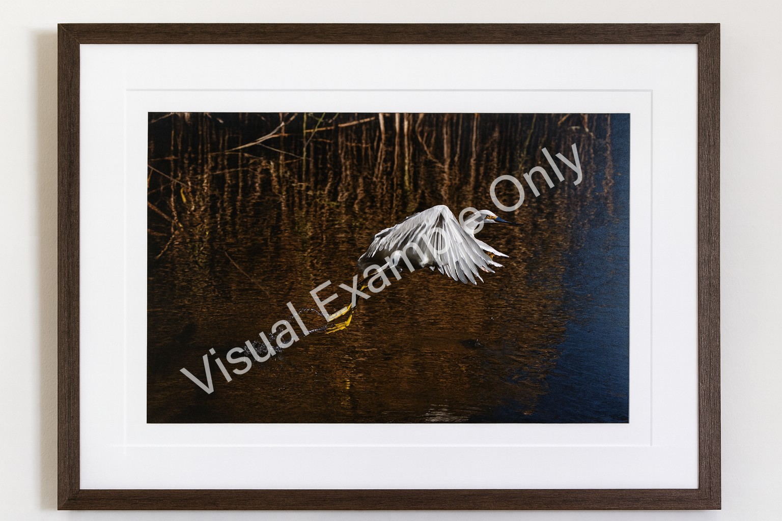 Graceful Departure Snowy Egret Wildlife Photography Print Bird Flight Wetland