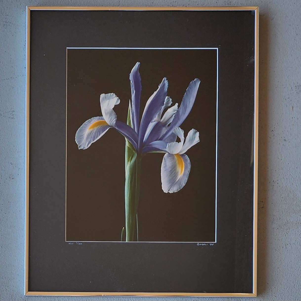 Nick Zungoli Iris 1984 Signed Ltd Ed Photo Print 7/300 Framed Fine Art 16×20