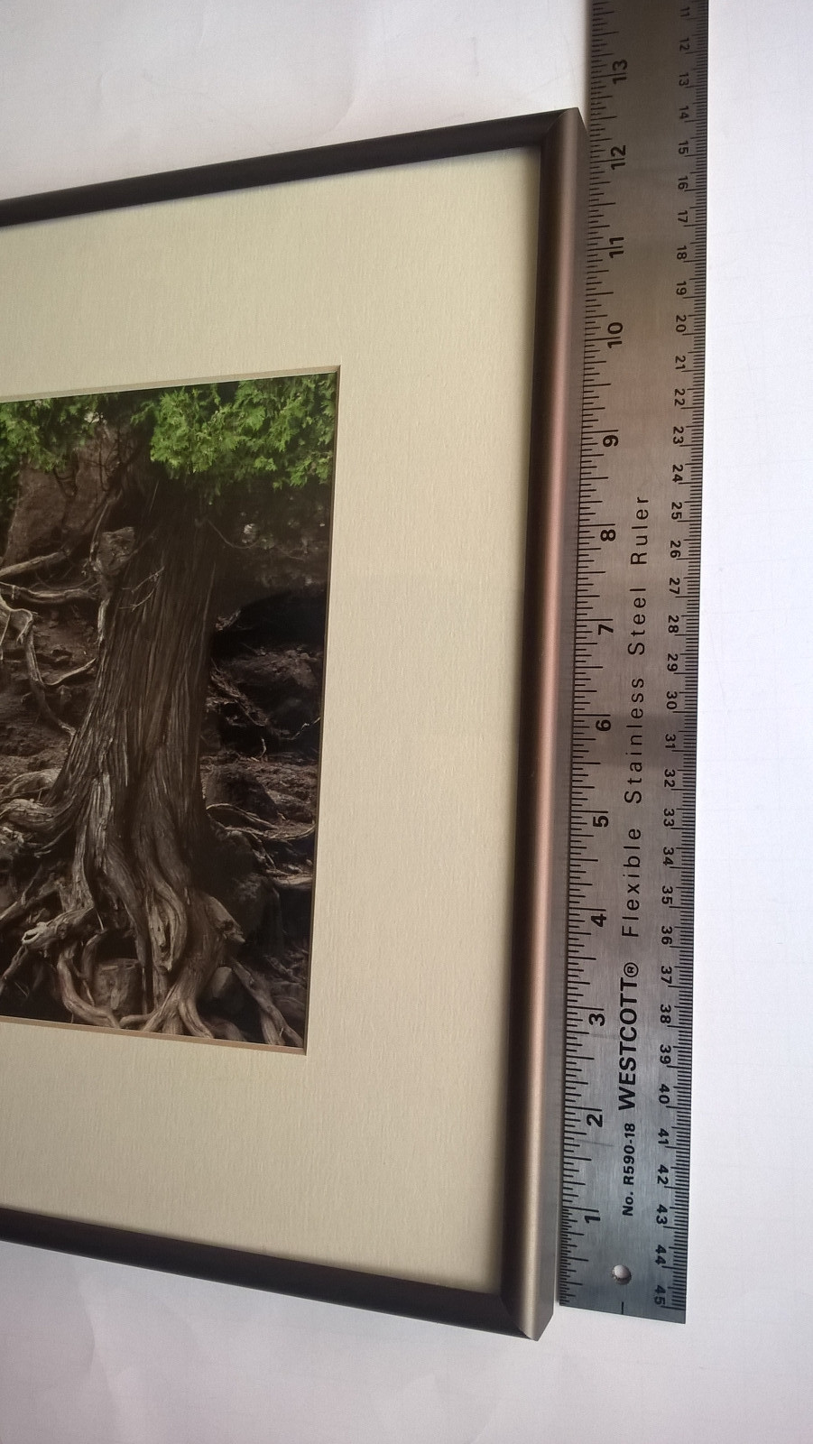 Jay Anderson Photograph Minnesota Gooseberry Falls Framed Art Forest Waterfall