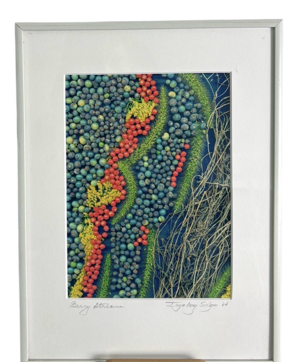 Signed Framed Botanical Berry Photograph Nature Wall Art Modern Colorful
