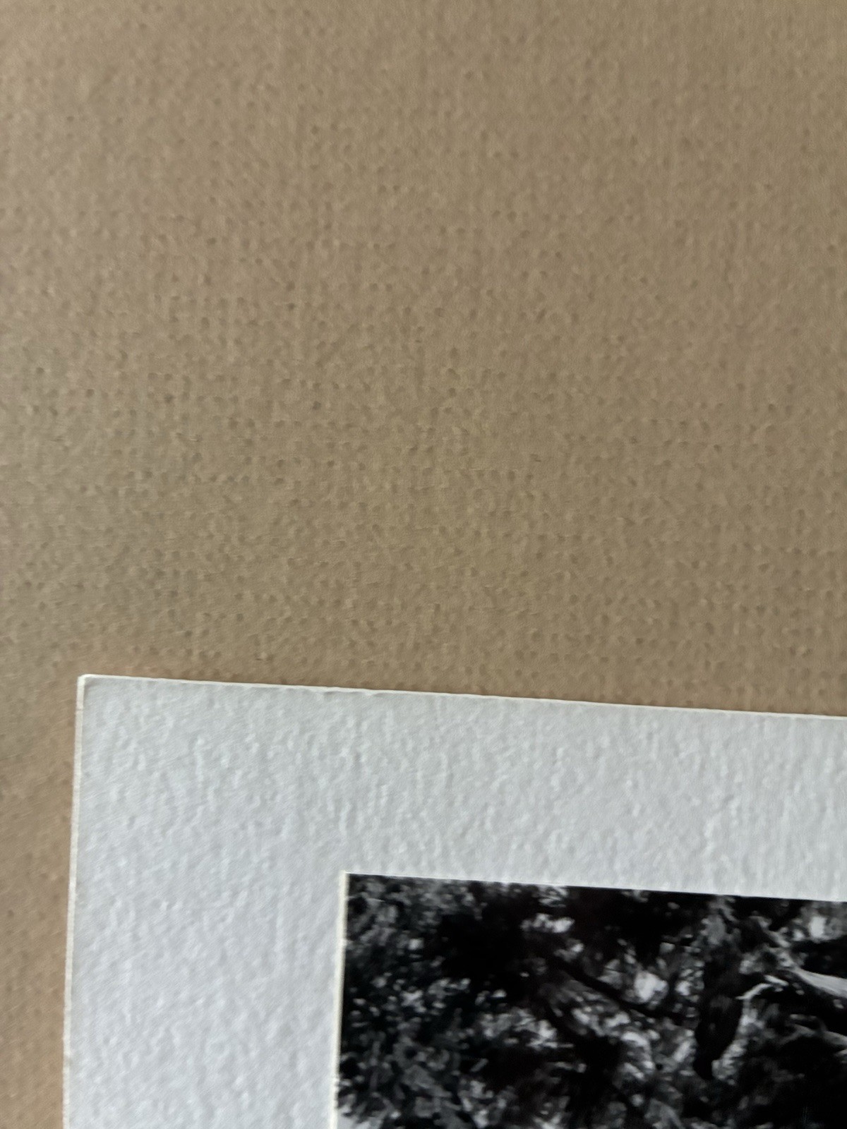 Cole Weston 1979 Gelatin Silver Photograph “Lake Almaden” Stamped Dated