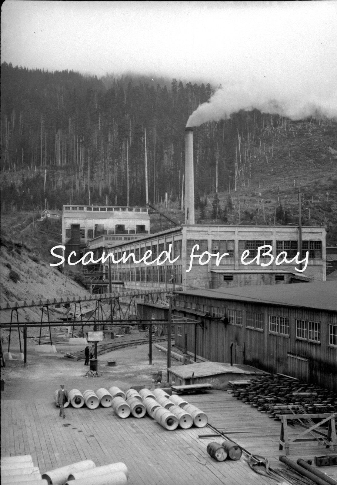 BRITISH COLUMBIA LOGGING CEMENT 1928 100 ORIG NEGATIVES IN ALBUM CANADA PEOPLE