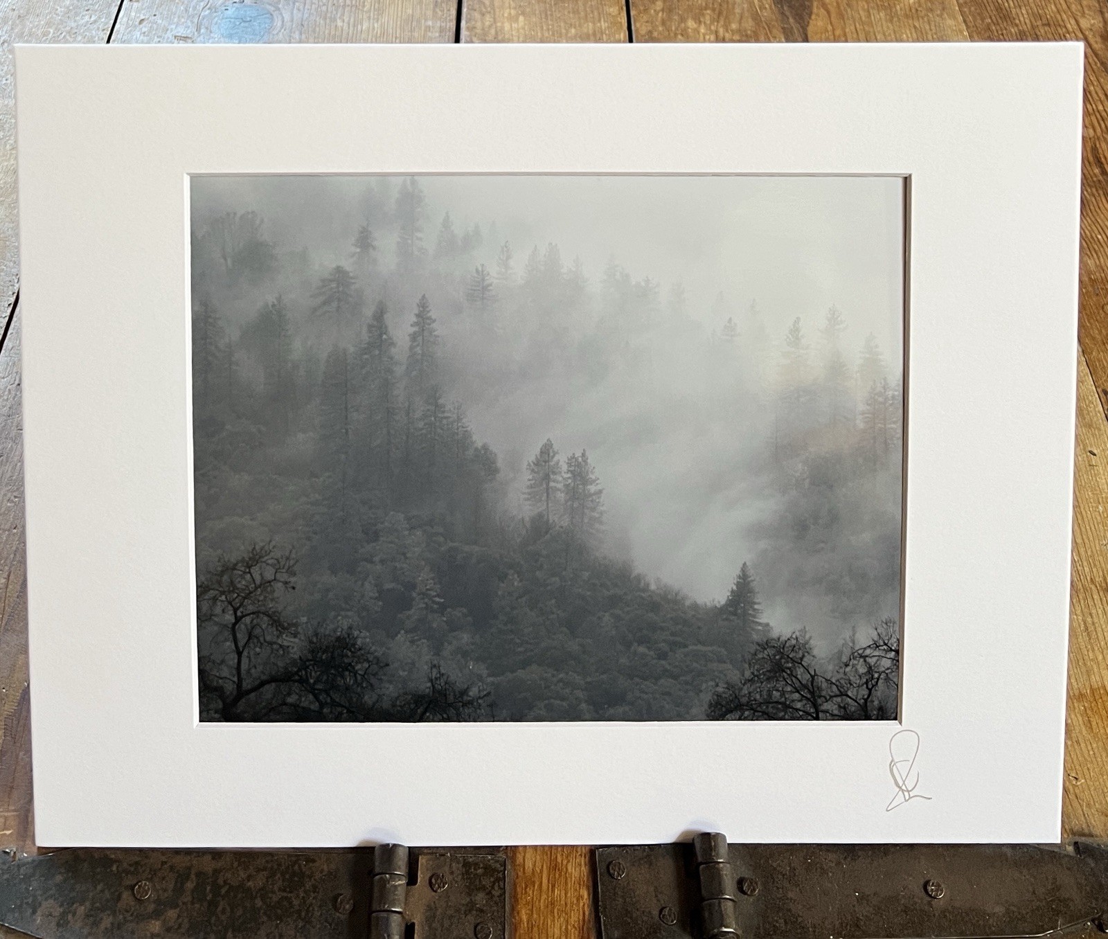 Rain, Mist and Trees, Shasta Lake, Ca – Matted Fine Art Photographic Print