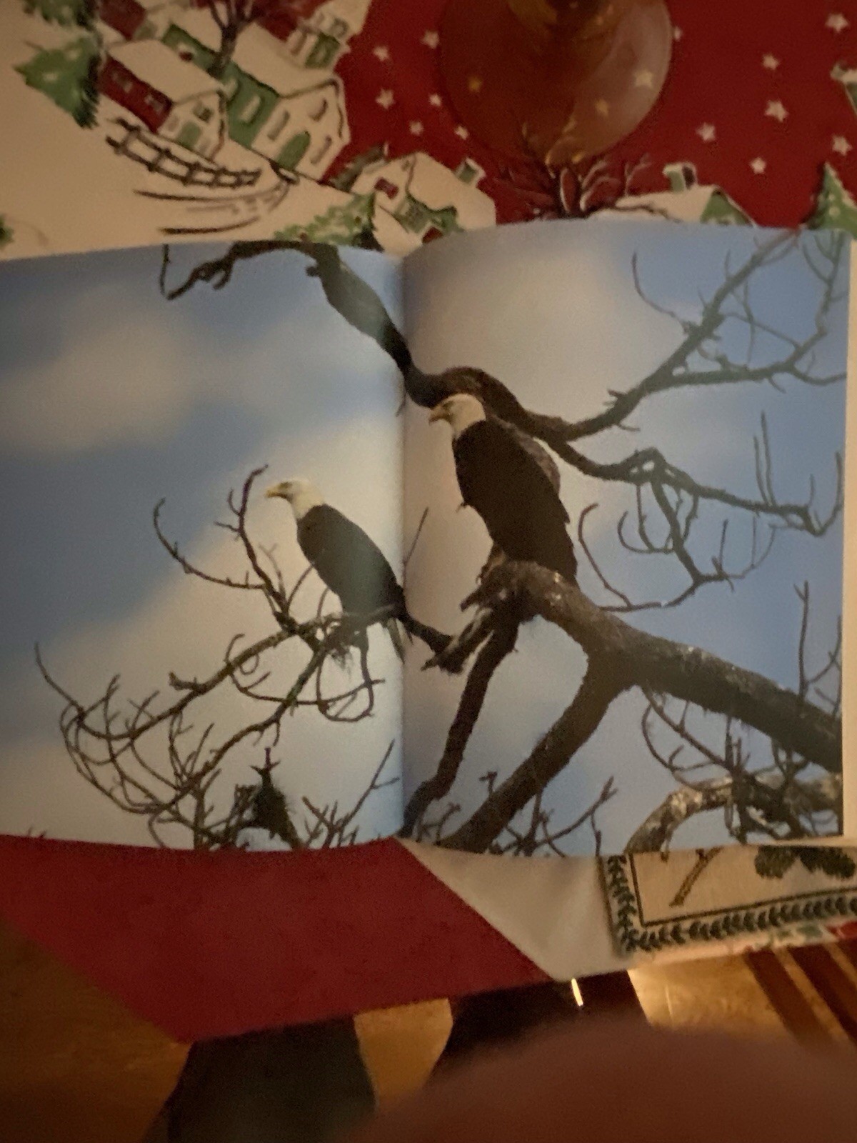 Art & Photo’s Of The World’s Formost Birder, Roger Tory Peterson – Excellent