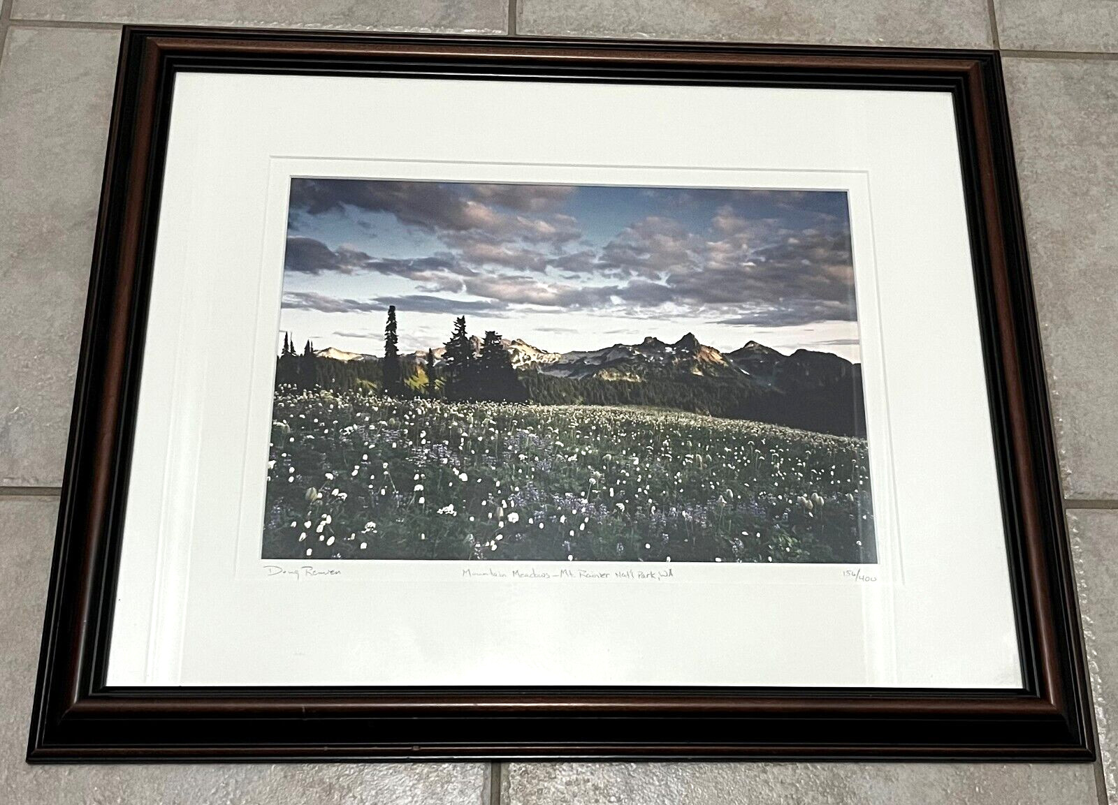 DOUG REMIEN Mountain Meadows Mt Rainer Park 156/400 Limited Signed Framed Photo