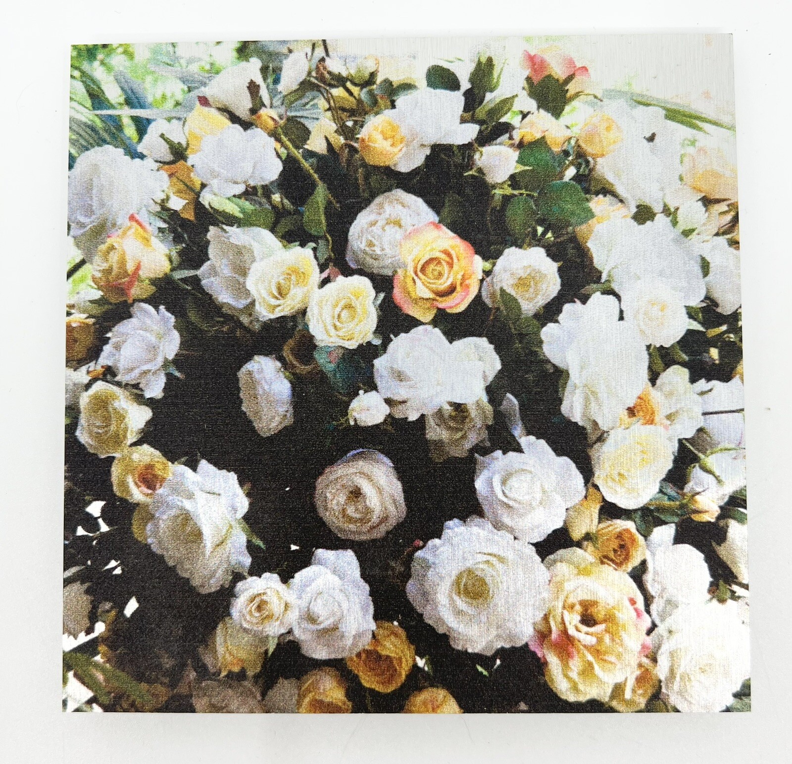 Nancy Reid Carr Art & Photography Metal Photo Print Garden Roses Signed Floating