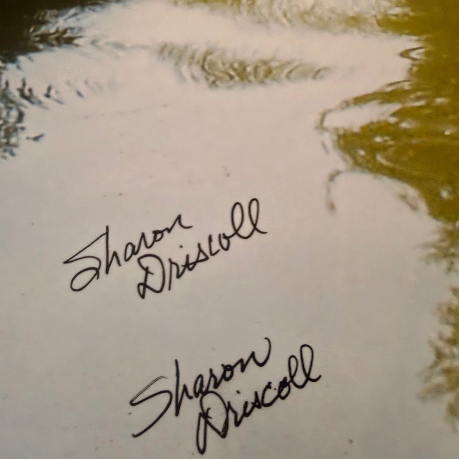 Sharon Driscoll Signed 13×19 Japanese Garden Photograph – Portland PNW Artist