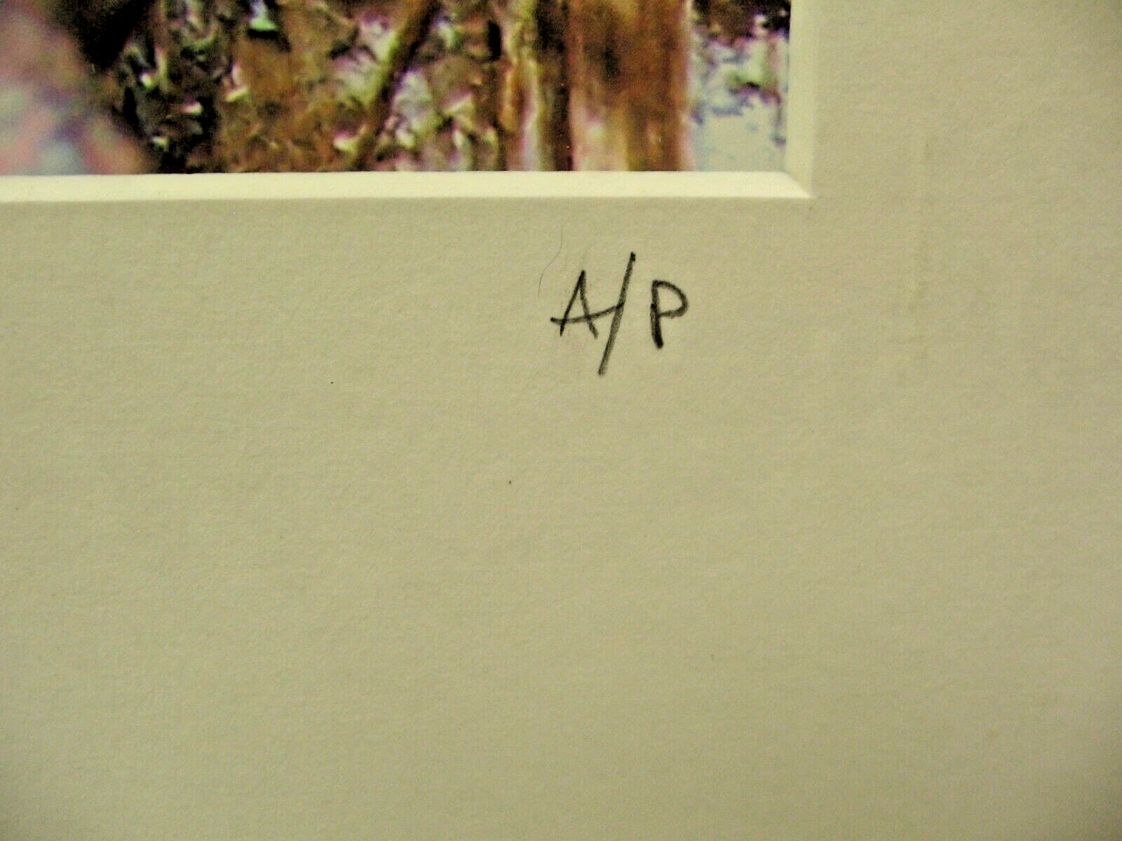 ART PHOTOGRAPHY Chain Lock A/P Color Matte Paper 16×20 By Larry Santucci