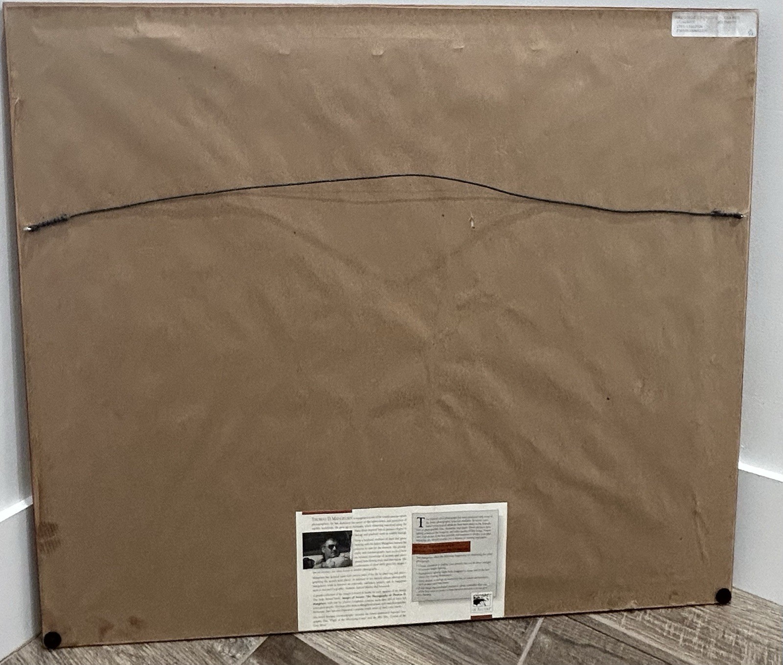 Thomas Mangelsen – Amboseli Crossing (16×20) In Gallery Frame