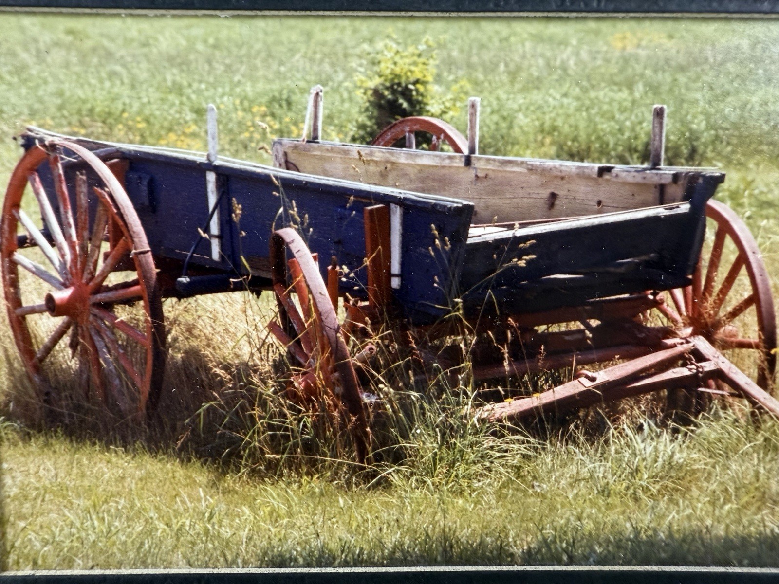 Gamow signed Hay Wagon Wheel Farm Cart in Field Photography Art 5″ x 7″ Mated