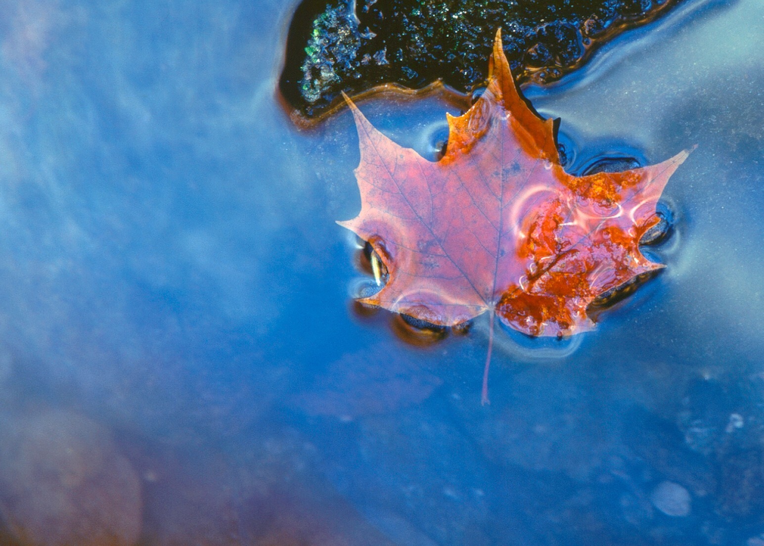 Photographs printed as 18″x24″ gallery-wrap canvases, 1.5″ deep bars, $150