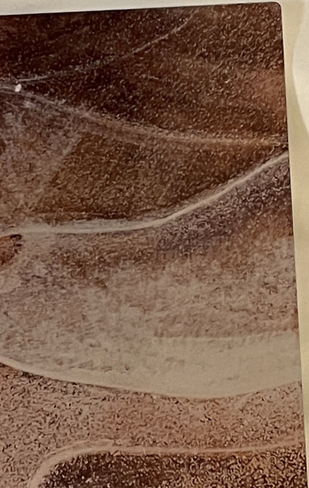 Original Photograph On Metal Sedona,Arizona By Claudia Cooke