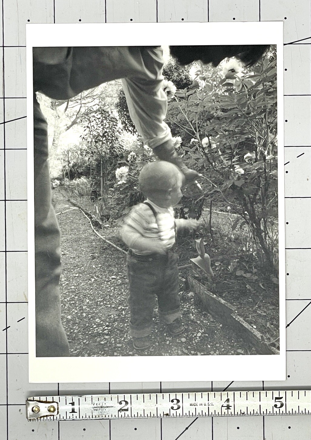 Doug Prince (b. 1943) Case In Flower Garden – 1983 Witkin Gallery Art Photo Card