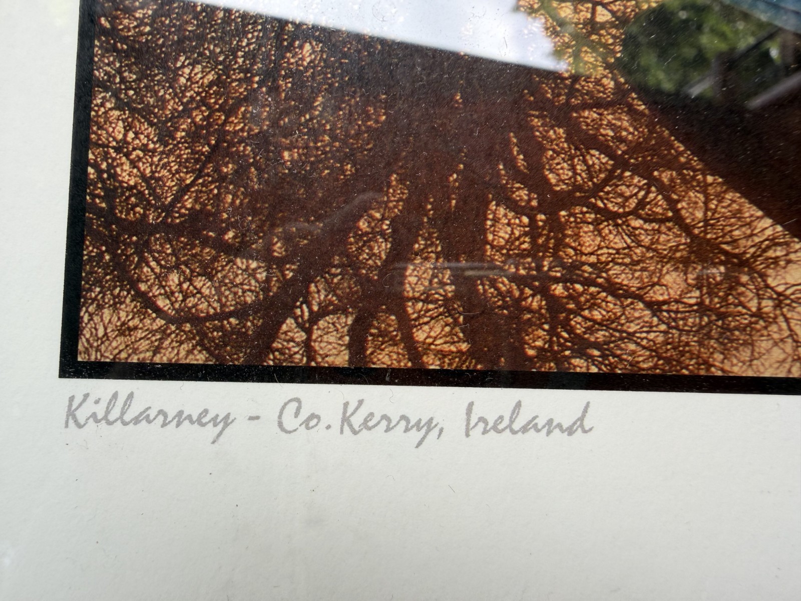 Signed Michael Walsh Killarney Co. Kerry Ireland Framed Photograph 13.5″ x 11.5″