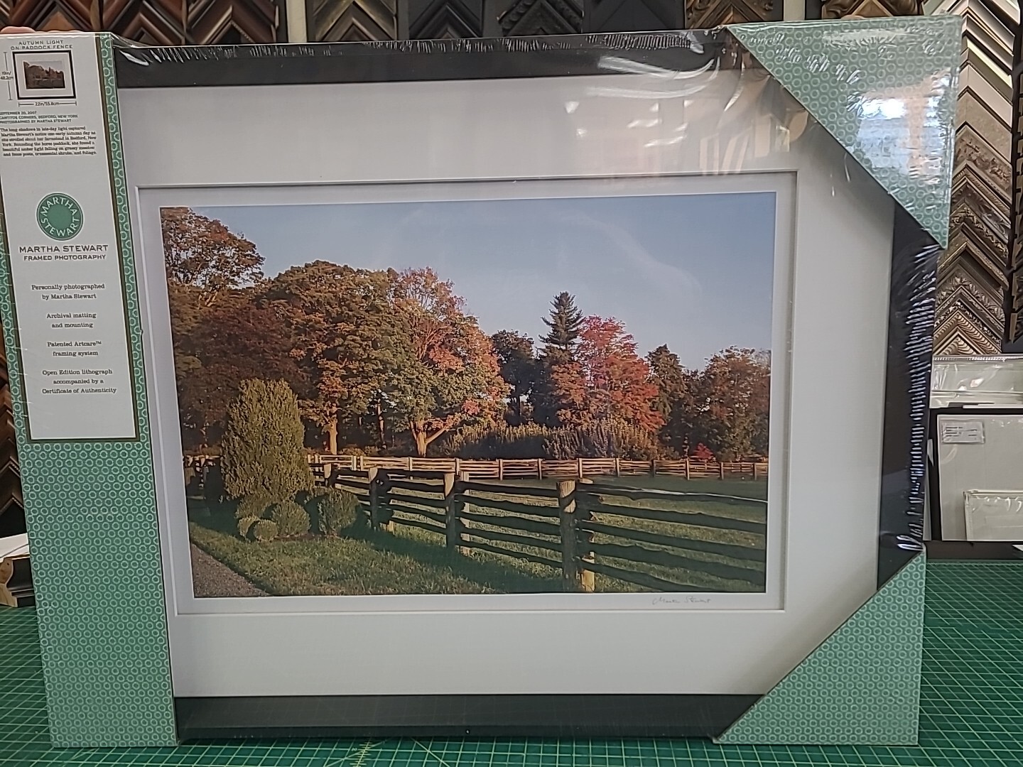 Martha Stewart ”’SET OF 4 FRAMES OF YOUR CHOICE ”’ NEW