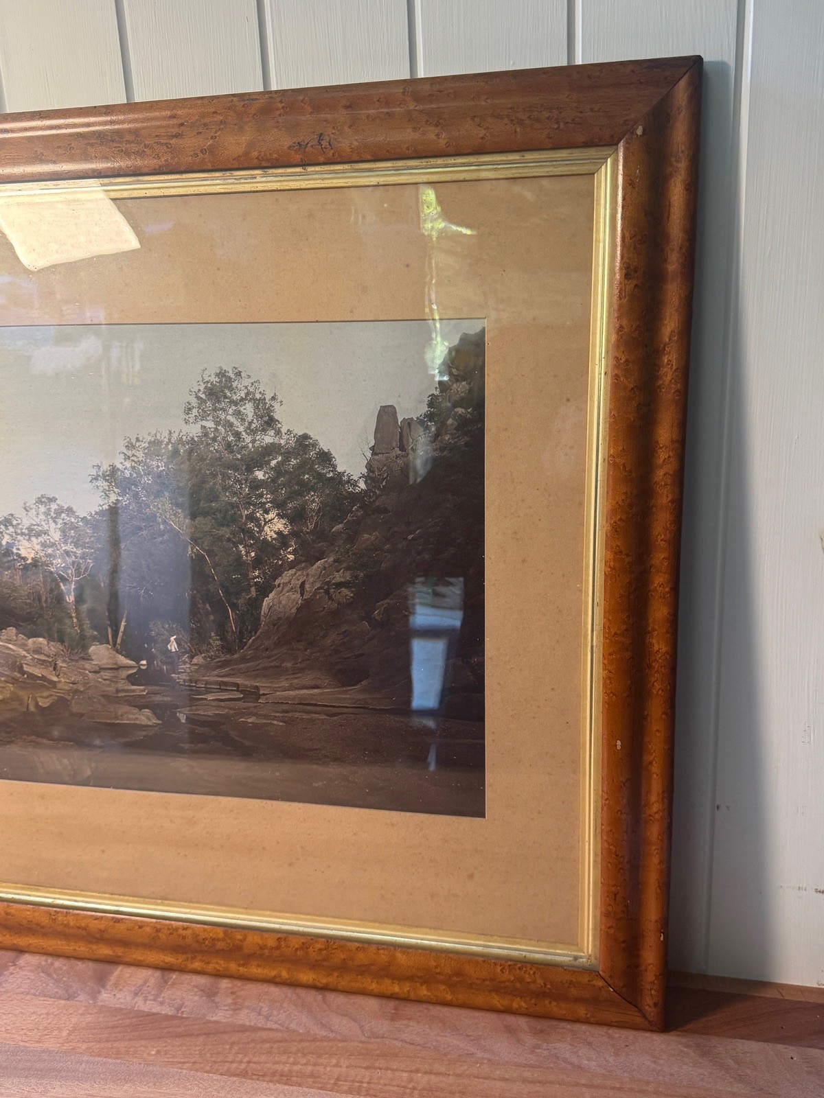 c.1900 Hand-Tinted Albumen Photograph Indigenous Landscape in Burr-Walnut Frame