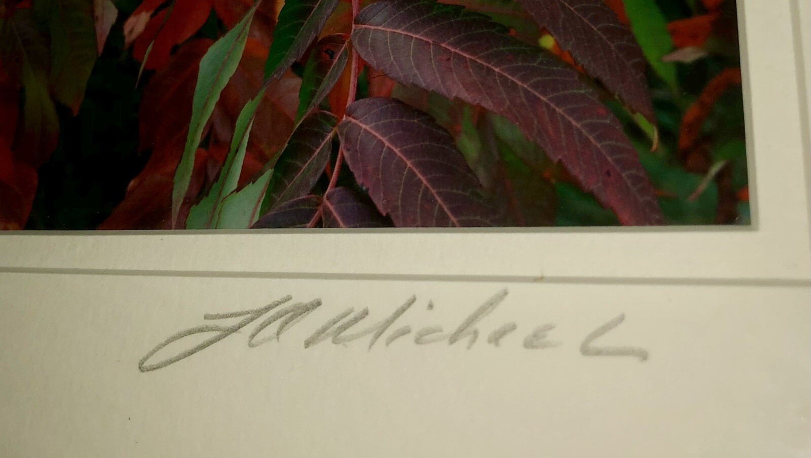 J A Micheal Signed Print Framed SUMAC Arborist Flowers Garden Home Decor 14×11