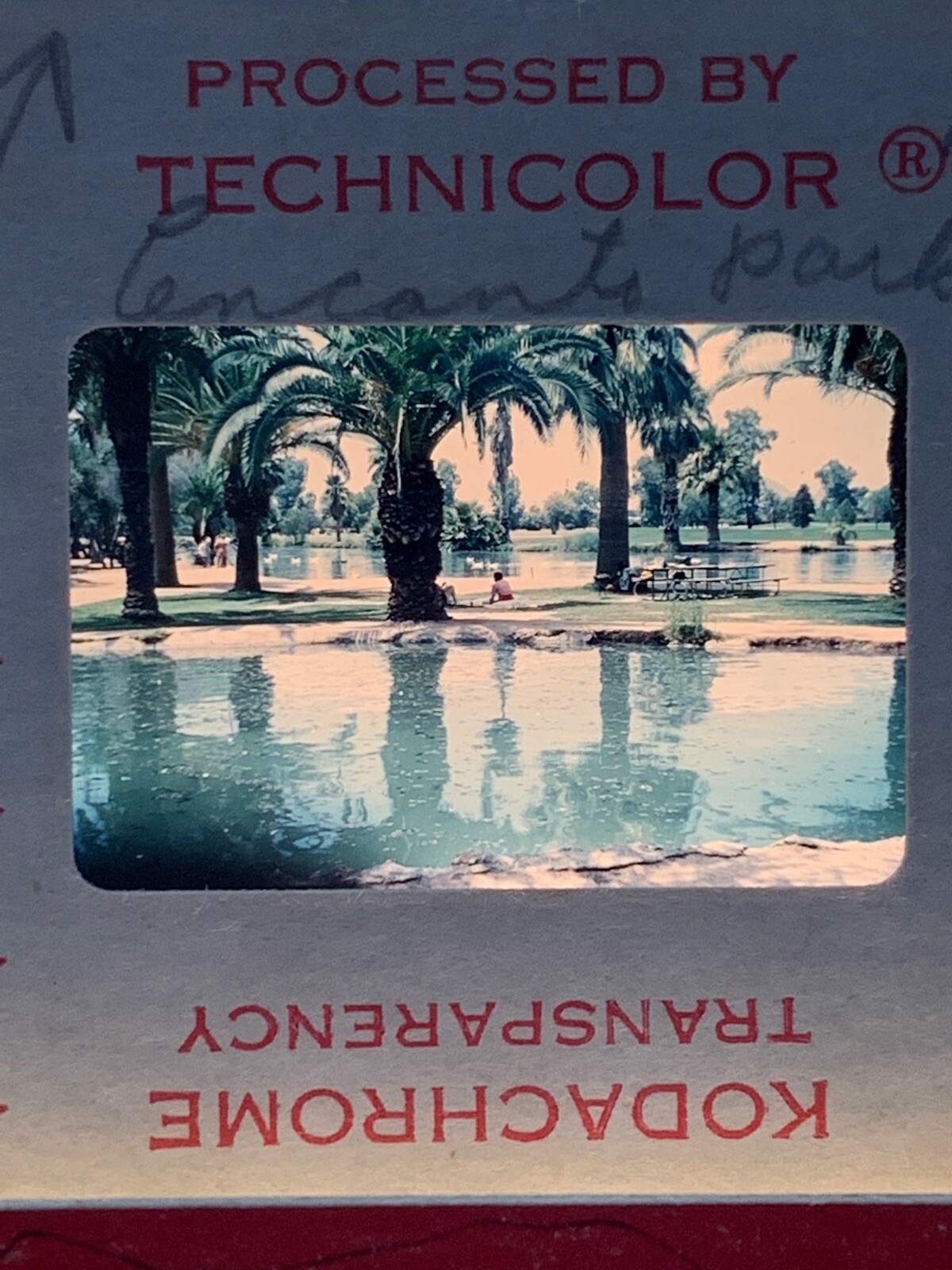 Lot Of 40 Vintage Family Life Teenage Summer Fun Amateur 35mm Color Slides