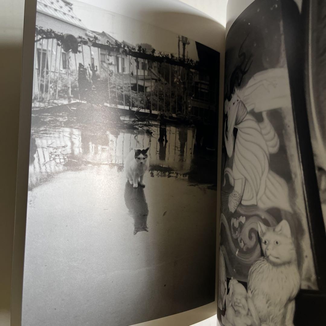 Nobuyoshi Araki Photo Collection Book “Morphine Doesn’t Work in May” Landscape