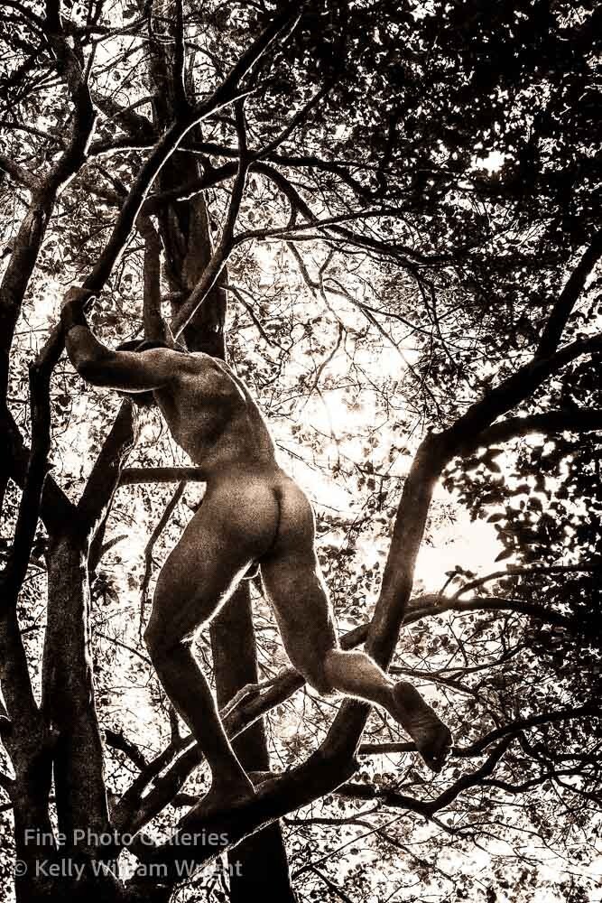 Original Male Nude KELLY WILLIAM WRIGHT Song Of The Trees #23 Stamped Photo 9×13