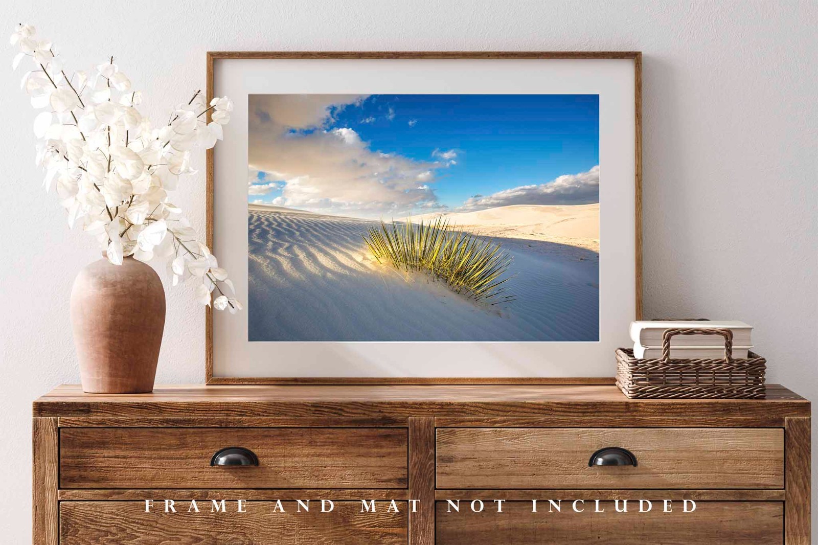 Desert Photography Print: White Sands National Park New Mexico Yucca Plant Photo