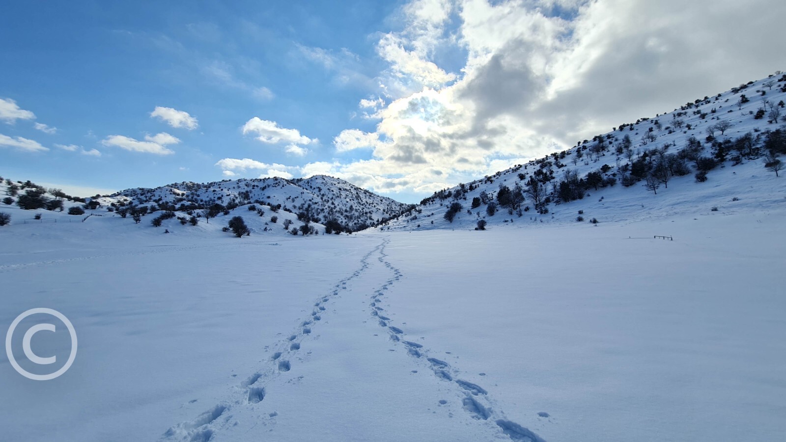 Photo Digital Product Illustration. Snow in Israel. Israel, Hermon mountain.