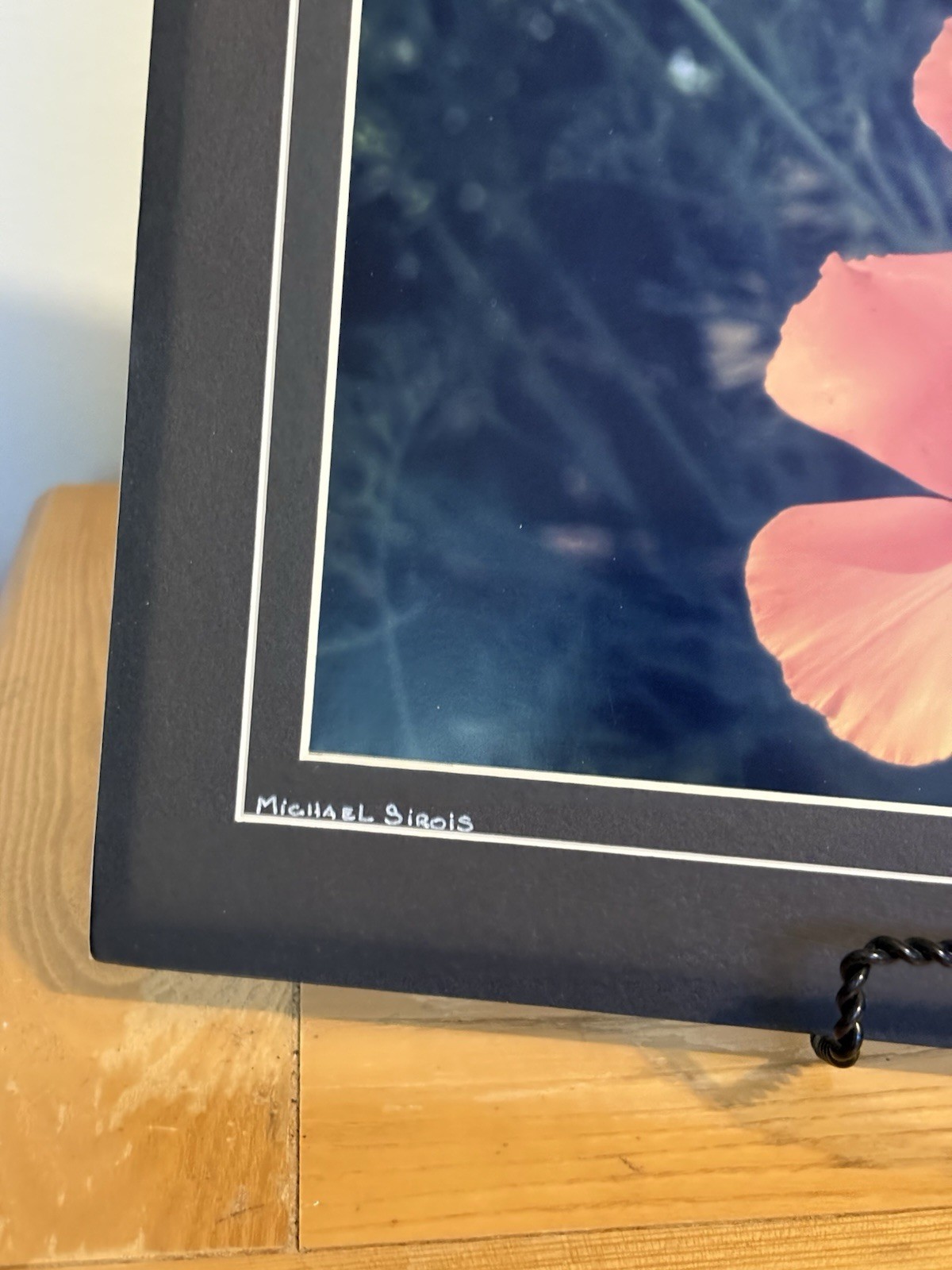 Michael Sirois Signed “California Poppy” Color Landscape Floral Photo, Matted