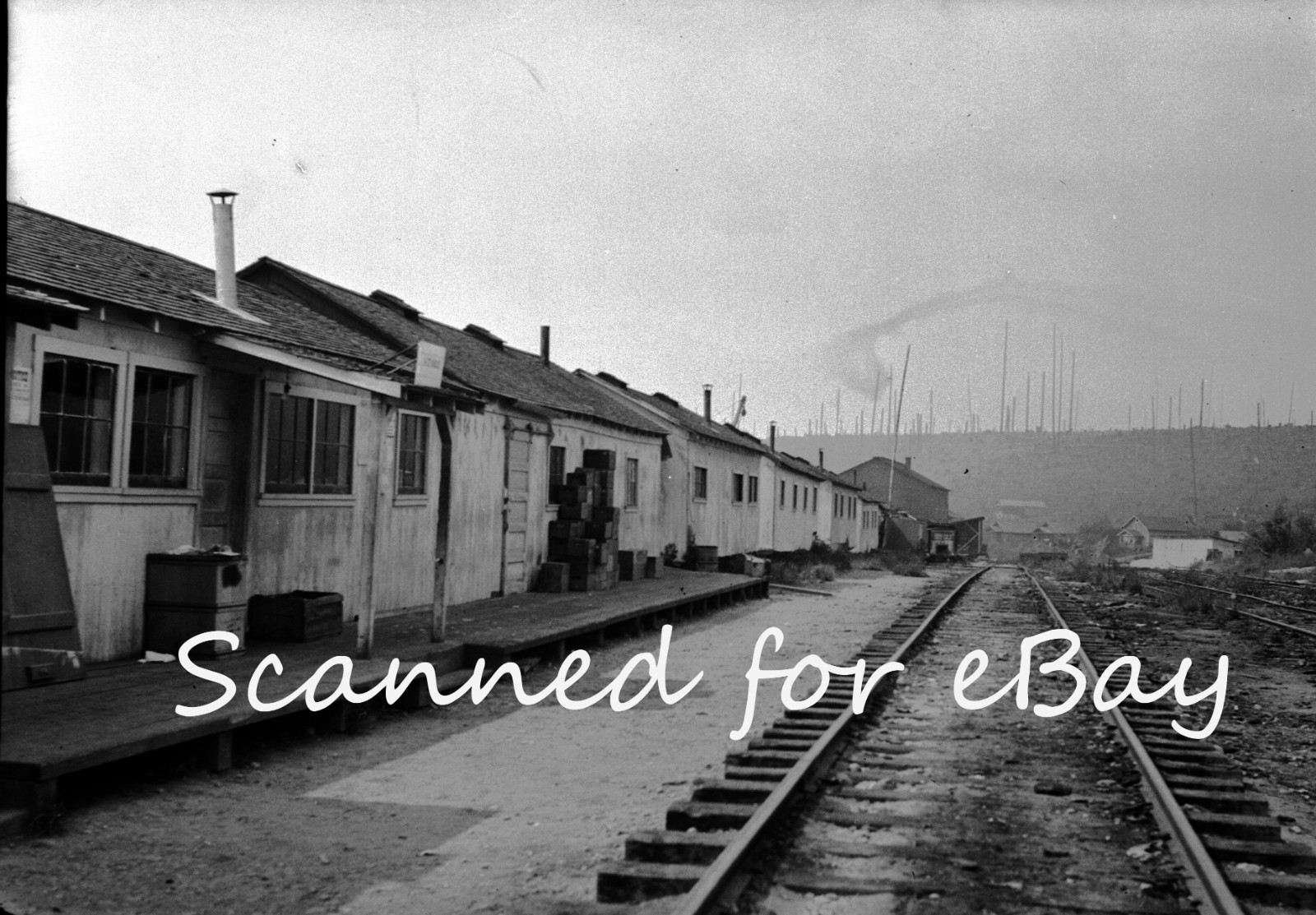 BRITISH COLUMBIA LOGGING CEMENT 1928 100 ORIG NEGATIVES IN ALBUM CANADA PEOPLE