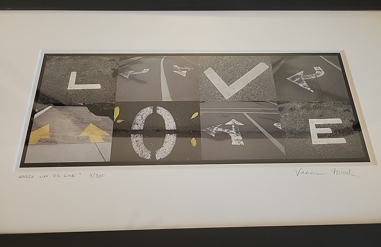 Framed Abstract Photograph 6-Panel Collage “Which Way is Love?” Numbered 9/350