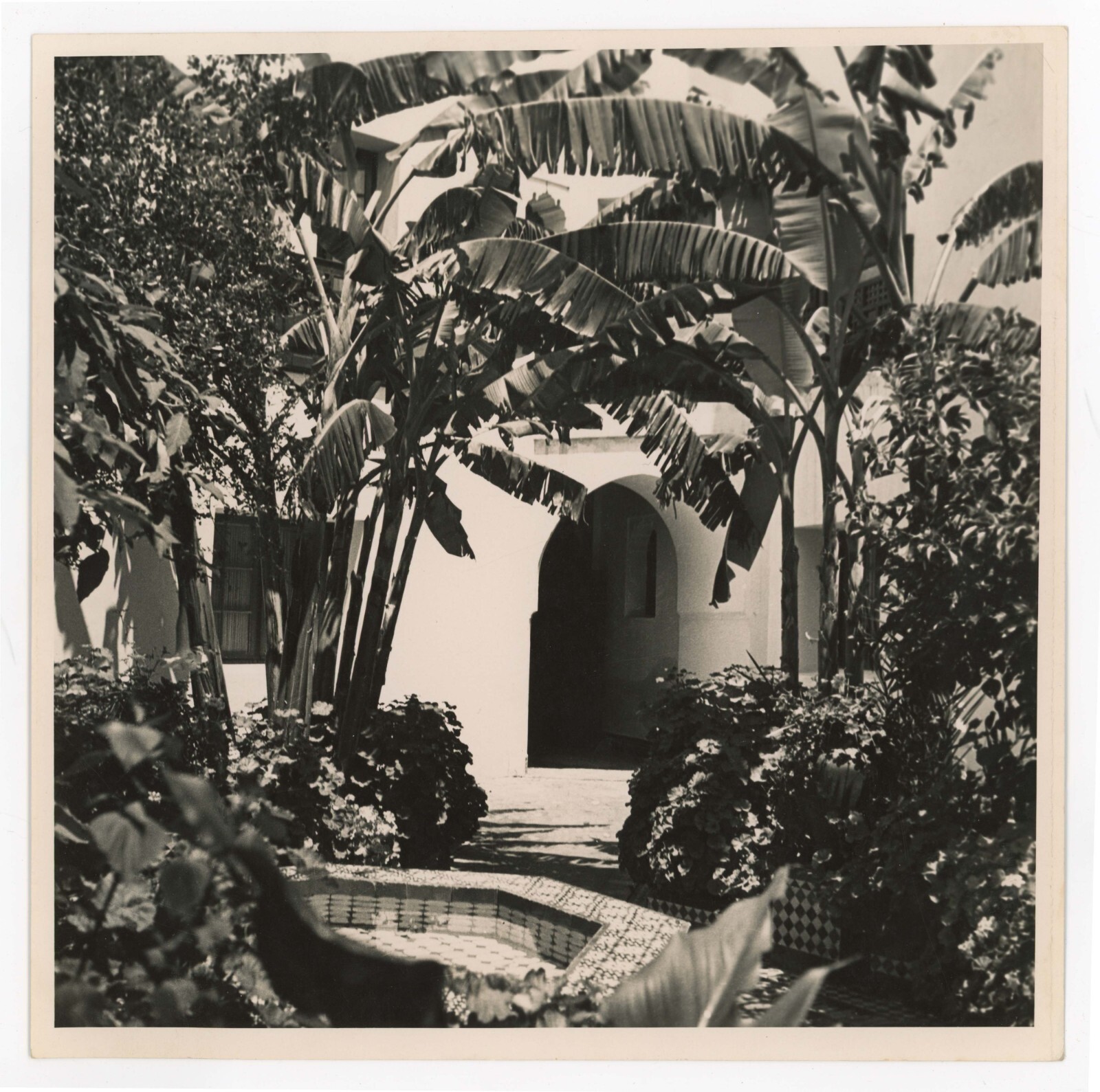 Hoyningen-Heune Morocco Vintage Photo Hotel Fes Palais Jamai Palm North Africa