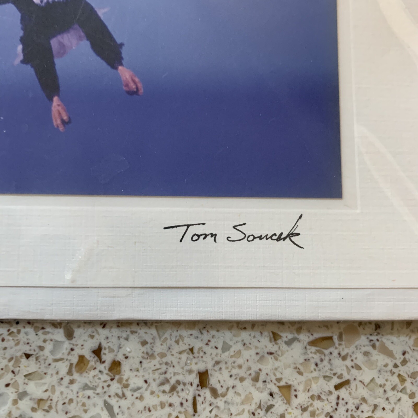 Photograph Notecard by Tom Soucek Eagle Landing Signed 1999