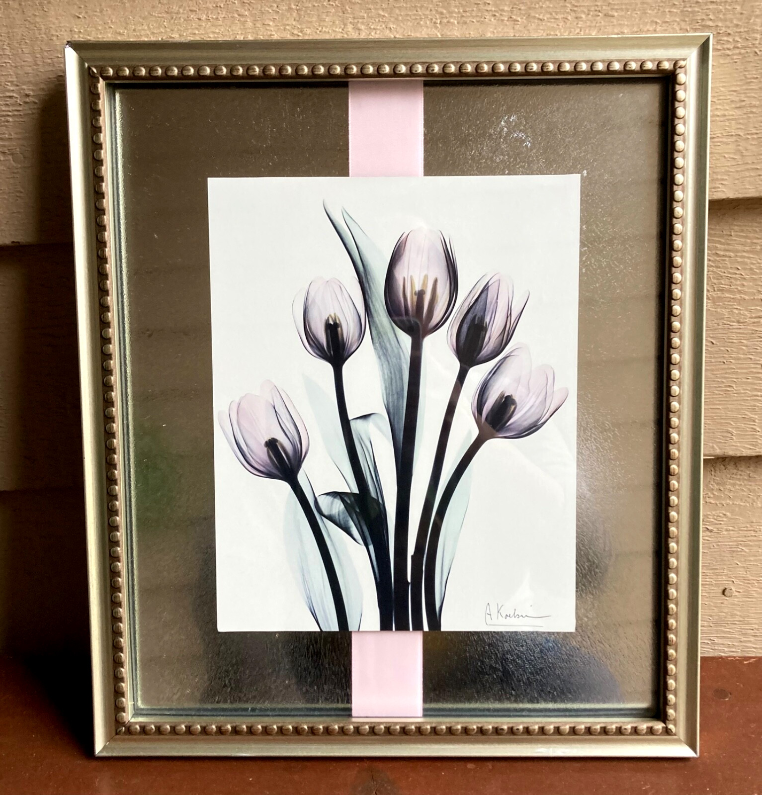 Tulips By Albert Koetsier Artist Signed Radiographic Xray Radio Photography Art