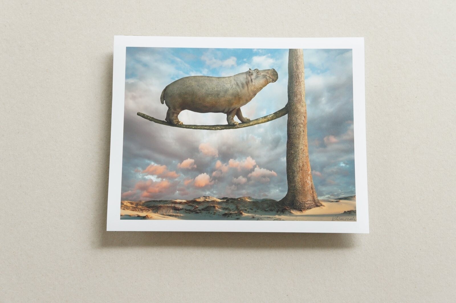 Signed ORIGINAL Animal Art Folio of Hippos Elephants Giraffe Camel & Fish Prints
