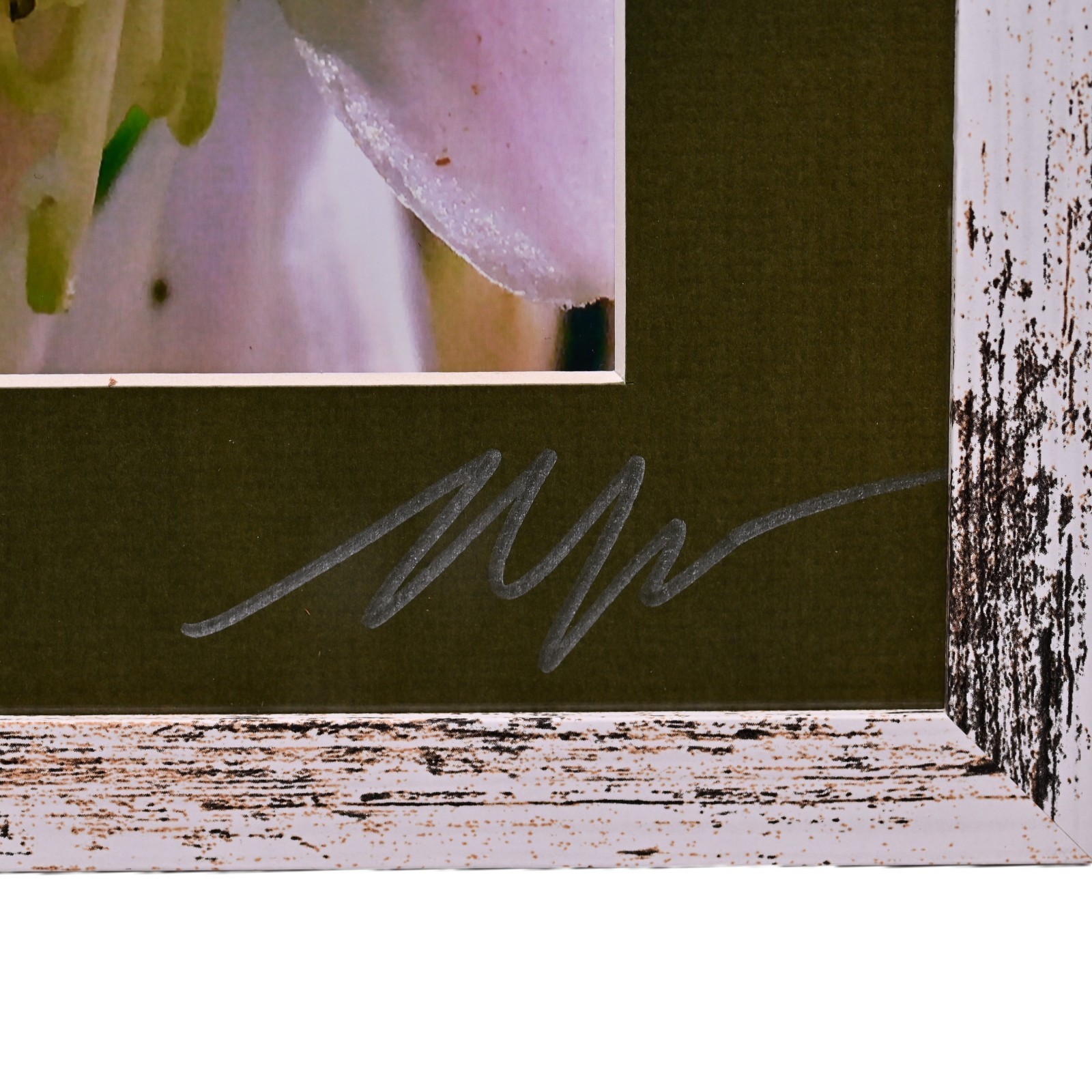MICHAEL RAY Original Vintage Signed Long Island NY Floral Still Life Photograph
