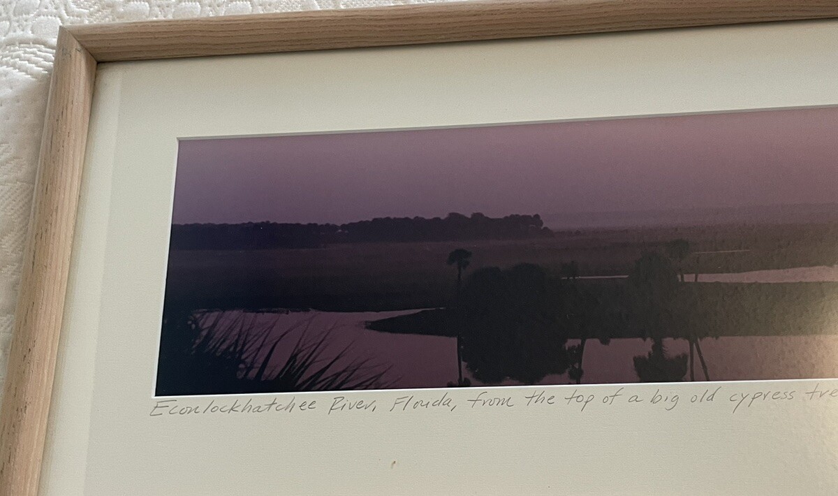 Panoramic Framed ECON Top Econlockhatchee River Florida Steve Vaughn 52:11’